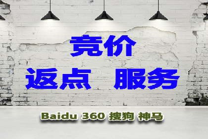 百度竞价代运营公司：如何选择合适的投放平台